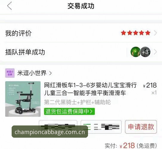 冠军白菜官方地址 vs 第三方下载站：哪个更值得信赖？