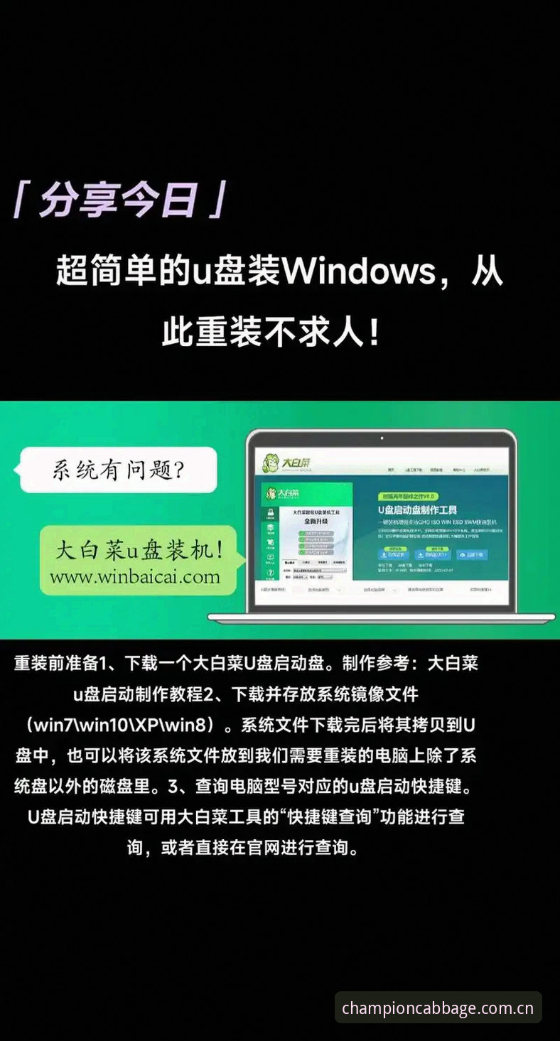 冠军白菜怎么安装 冠军白菜怎么安装?从下载到使用的全程操作教程