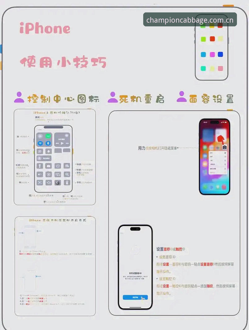 冠军白菜苹果版实用指南：资深用户分享v3.0.0版本下载与安全使用心得