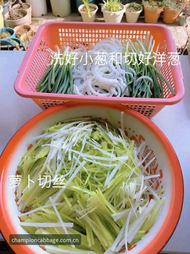 冠军白菜苹果下载 6个步骤掌握冠军白菜苹果下载:从新手到安全达人的完整指南