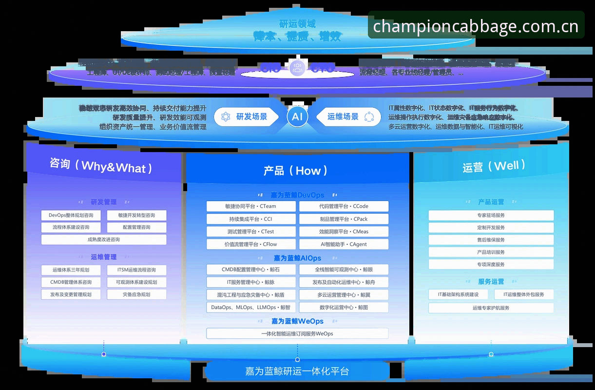 GCB使用体验 冠军白菜论坛 vs GCB官方体验:老用户眼中的平台升级与选择指南